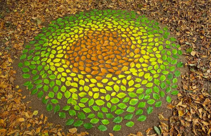 james brunt creates ephemeral mandalas using leaves