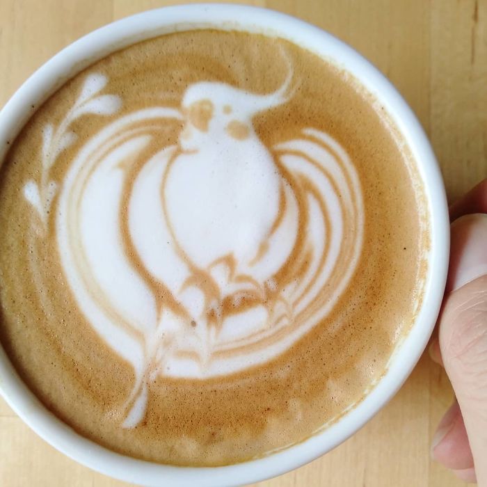 ku-san bird latte art cockatiel sashi