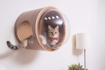 myzoo studio spaceship-inspired cat beds