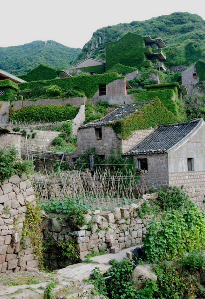 nature covers abandoned fishing village