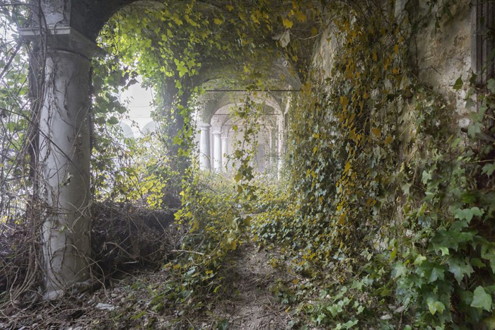 nature takes over abandoned places