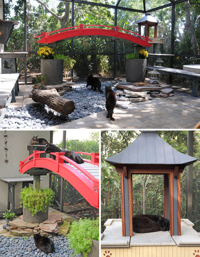 open space catios cat patios outdoor enclosures