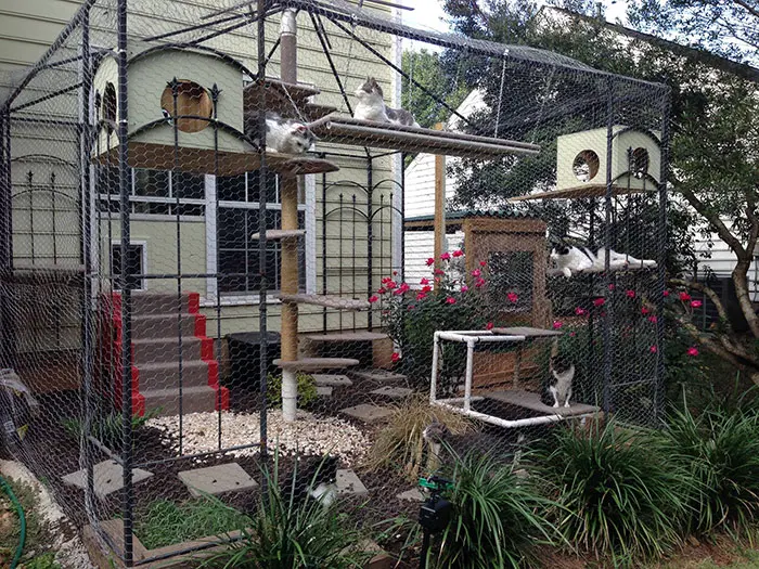 perfect play catios cat patios outdoor enclosures