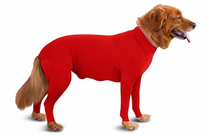 shed defender dog onesie amazon