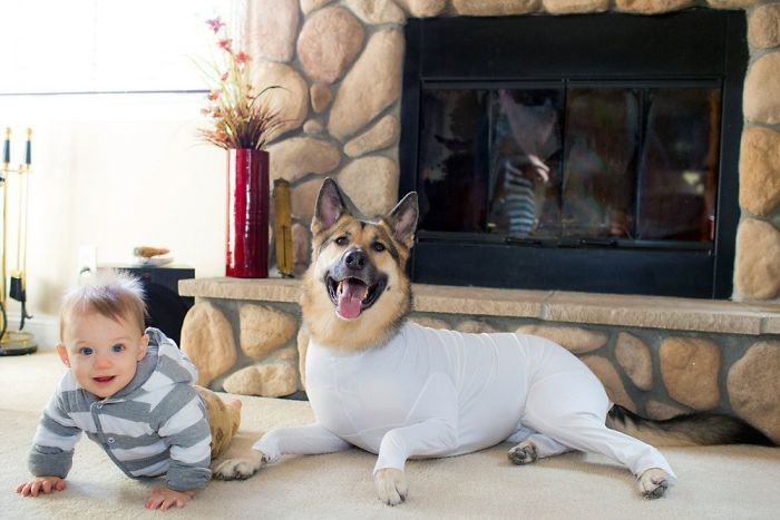 shed defender dog onesie white