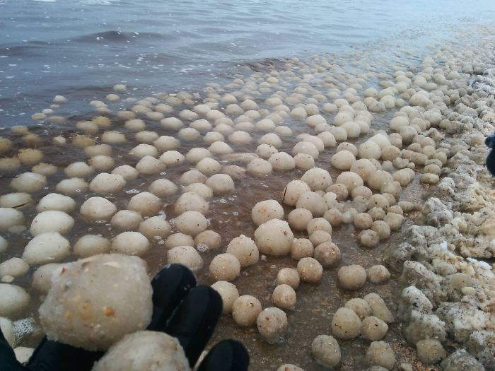 snow balls on water - interesting beach things