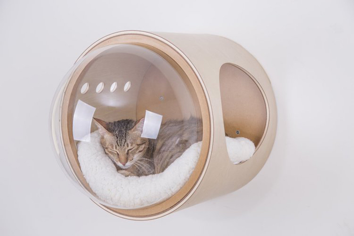 spaceship-inspired cat beds gamma wall mount