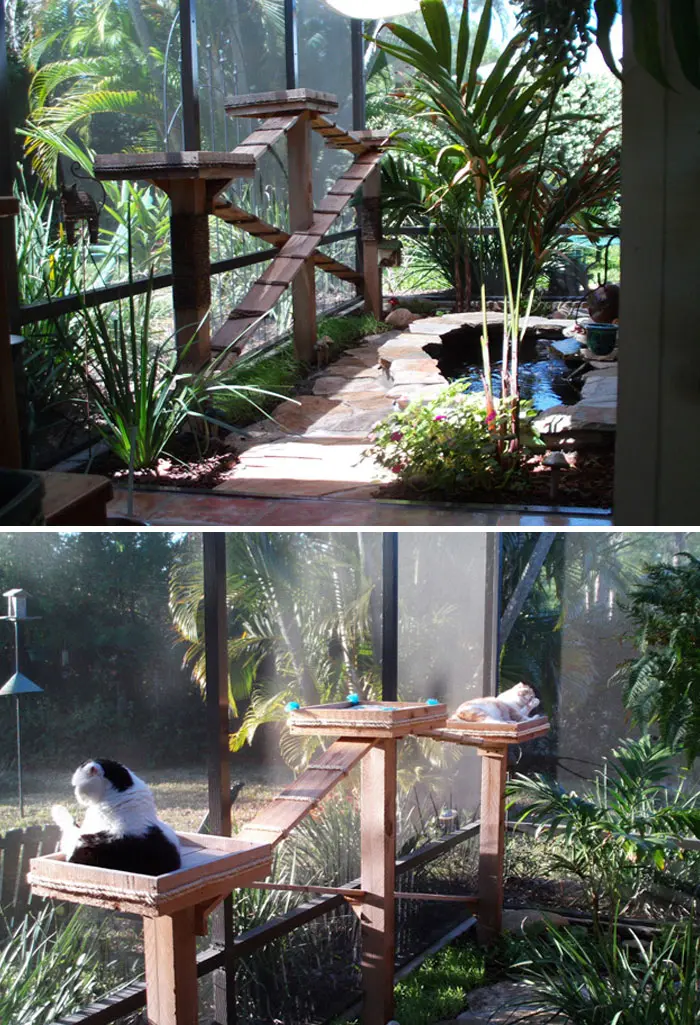 sunbathing catios cat patios outdoor enclosures