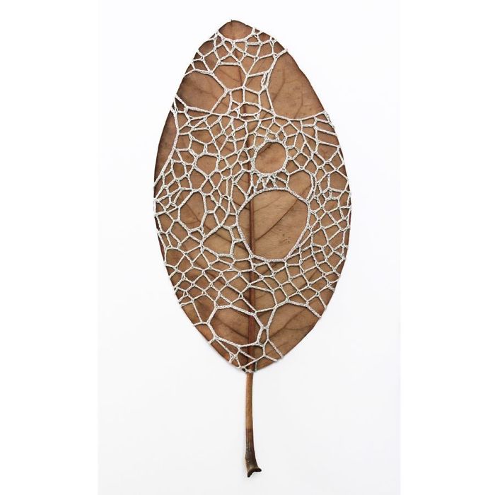 susanna bauer dried leaves crochet art web