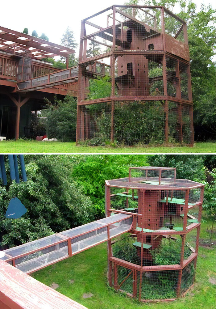 tower catios cat patios outdoor enclosures