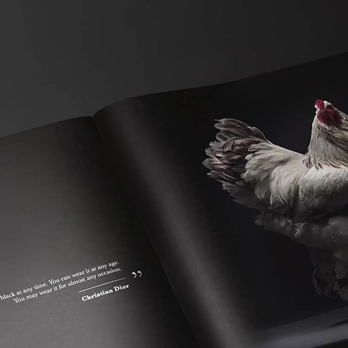 tranchellini monti chicken photobook printed