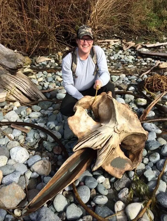 unusual creature bone interesting beach things