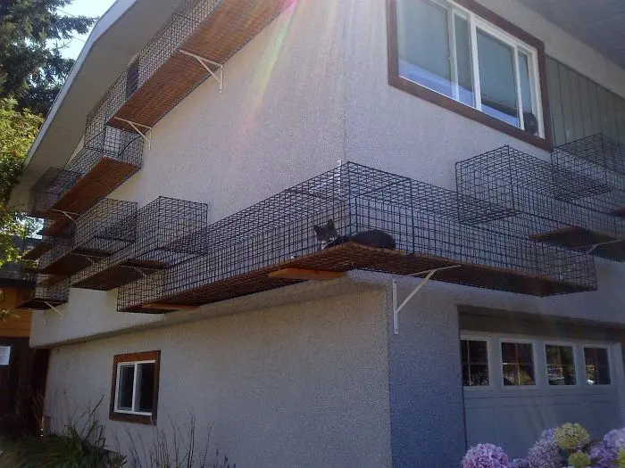 wall mounted catios cat patios outdoor enclosures