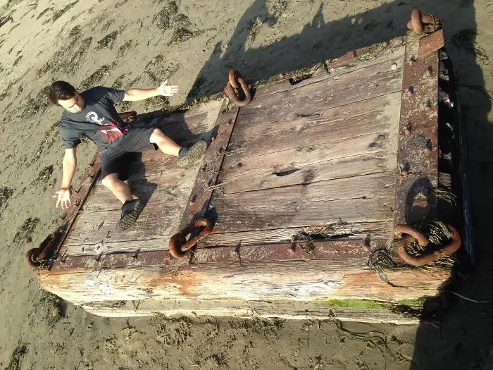 washed up on dillon beach - interesting beach things