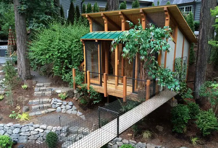 with greens catios cat patios outdoor enclosures