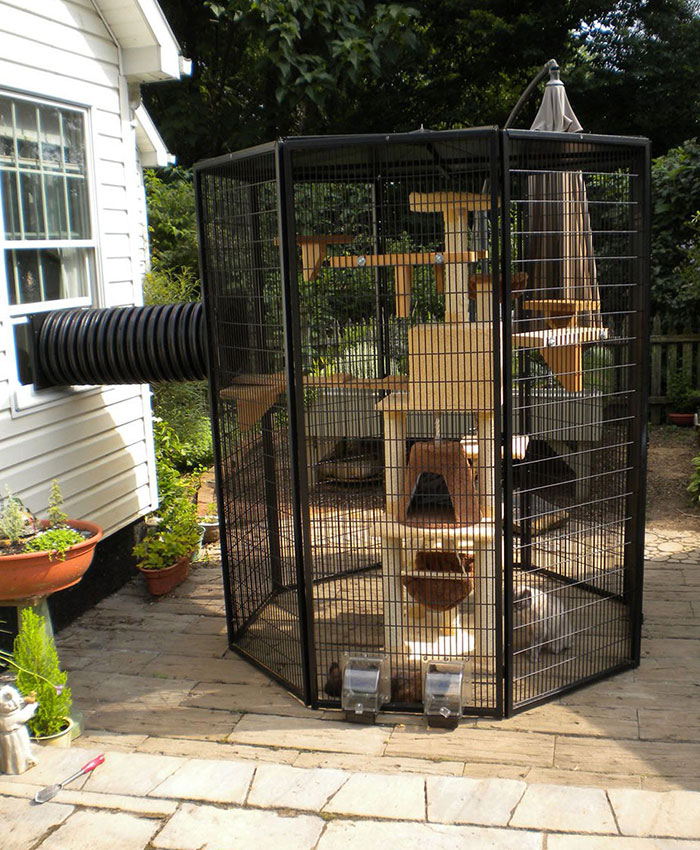 with walkway to and fro the house catios cat patios outdoor enclosures