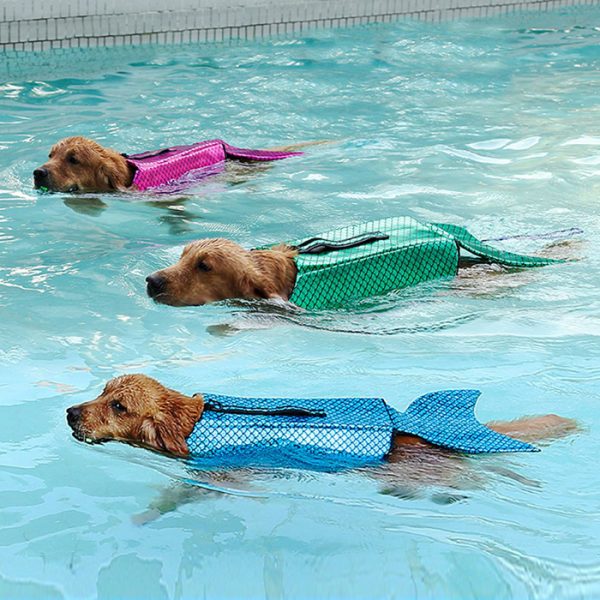 albabara sparkly life jacket dog swimming vest