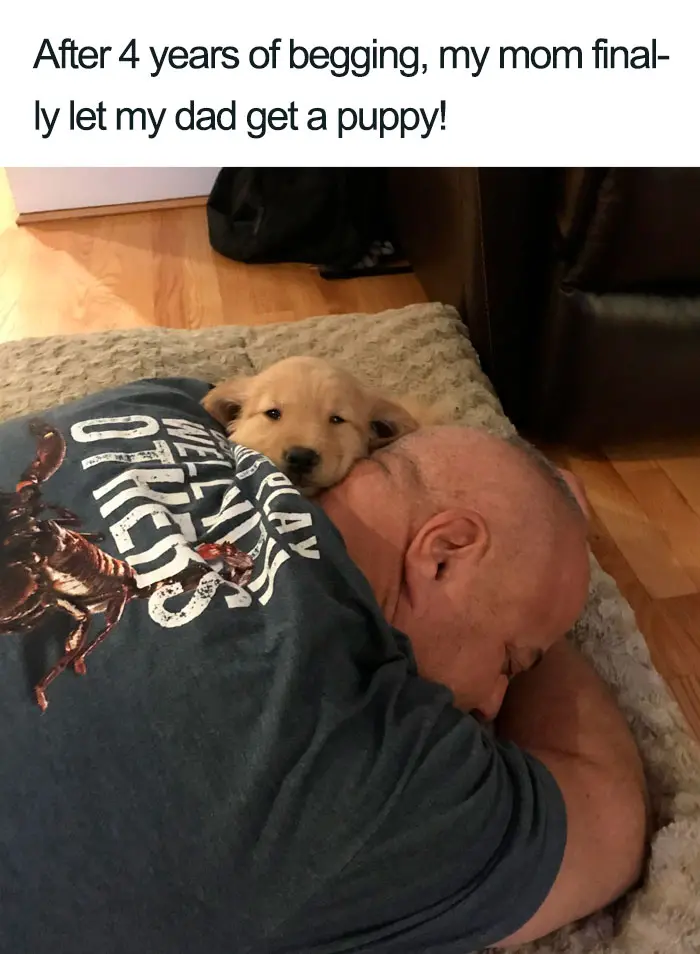 dad got a puppy