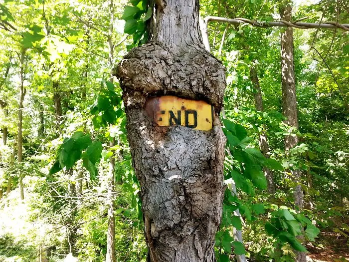 end sign almost eaten by tree nature reclaiming taking over