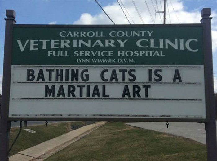 funny cat jokes vet clinic signs bathing cats martial arts