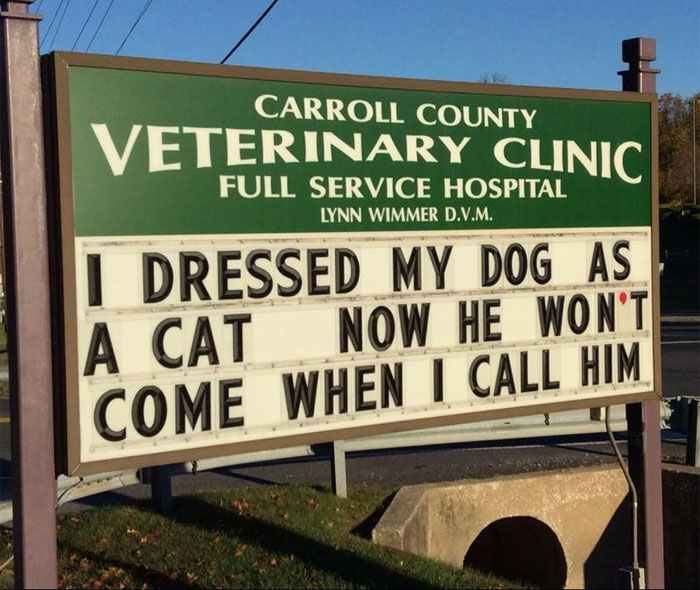 funny cat jokes vet clinic signs dog dressed as cat