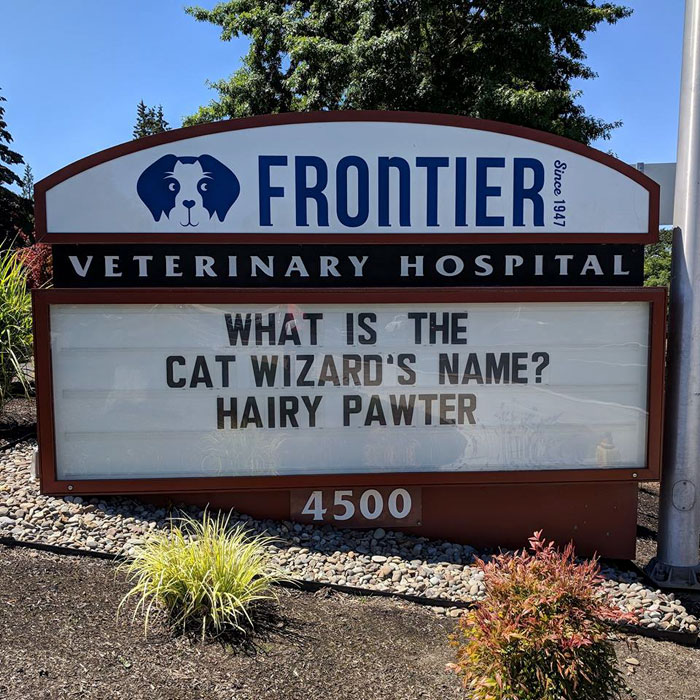 funny cat jokes vet clinic signs hairy pawter