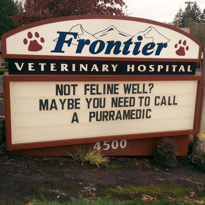 funny cat jokes vet clinic signs purramedic