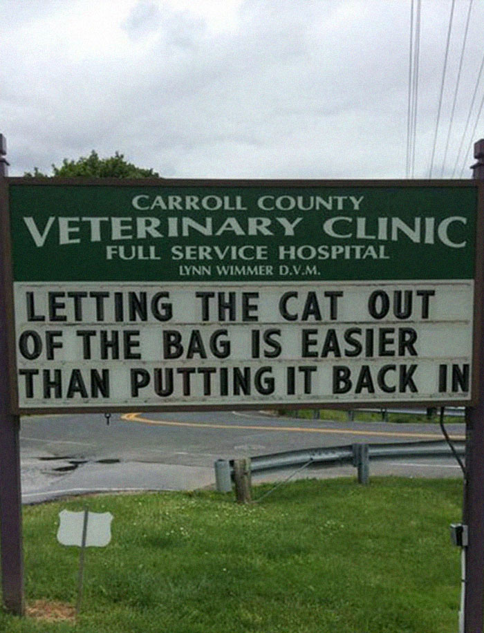 funny cat jokes vet clinic signs putting cat back in