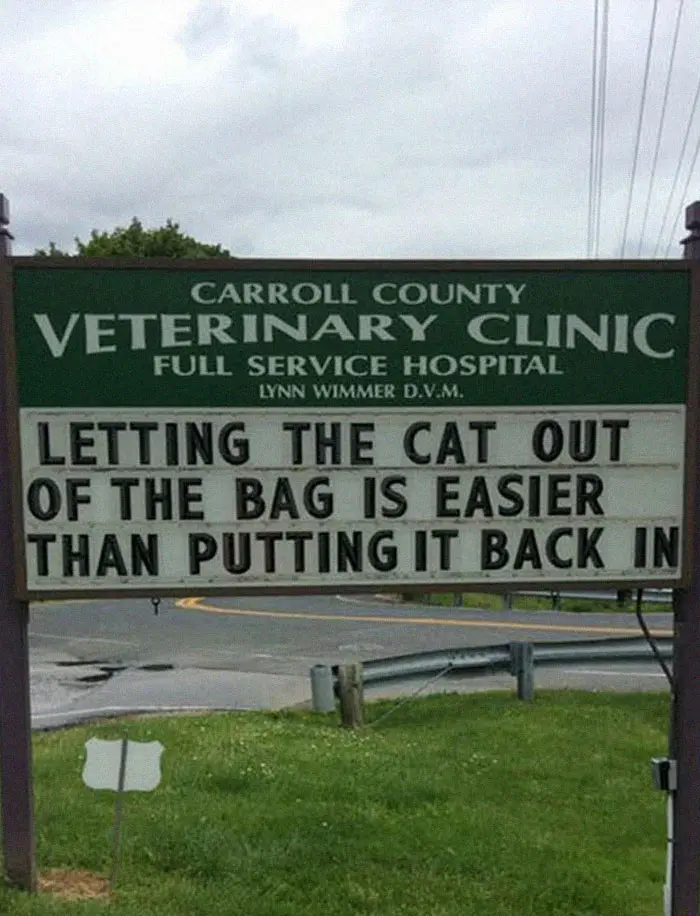 funny cat jokes vet clinic signs putting cat back in