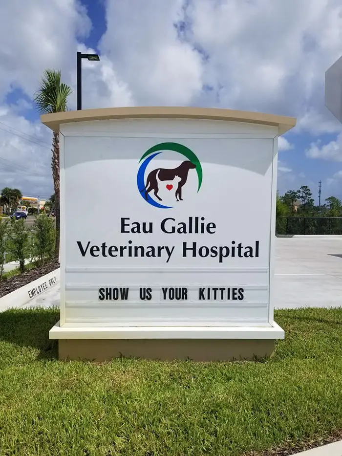 funny cat jokes vet clinic signs show kitties