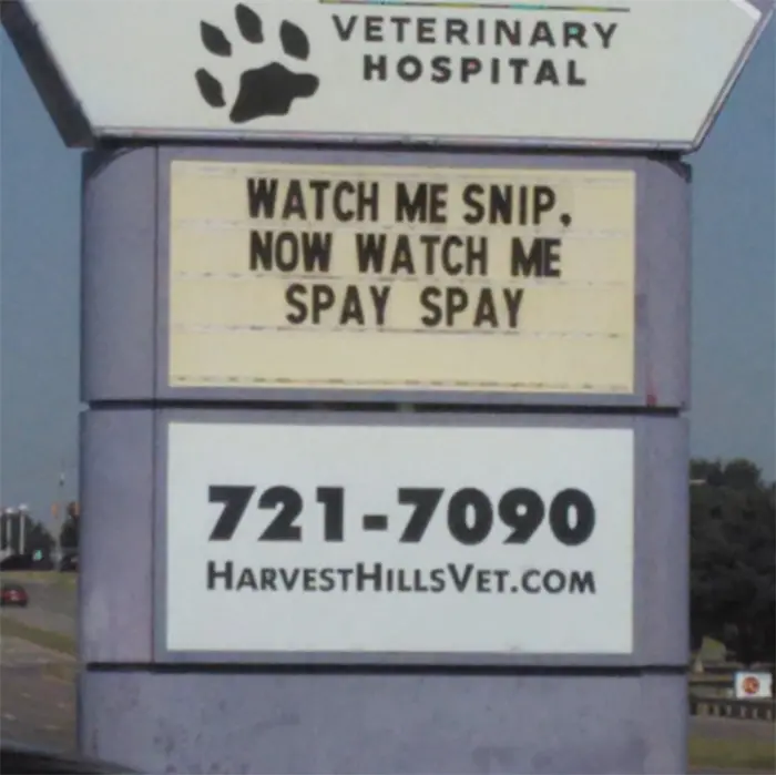funny cat jokes vet clinic signs snip spay