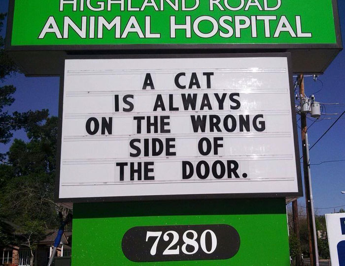 funny cat jokes vet clinic signs wrong side of the door