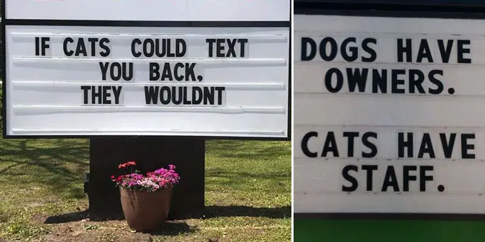 funny vet signs