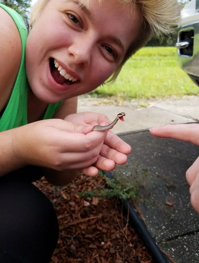 happy tiny cute snake pictures