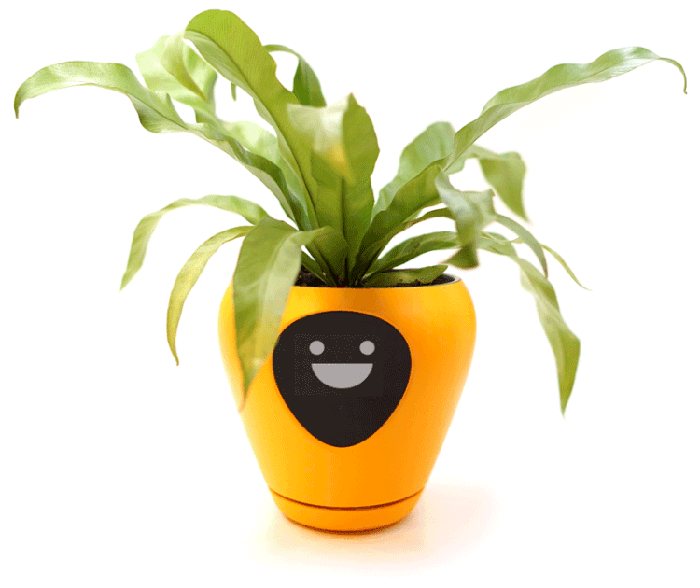 lua smart planter happy animation