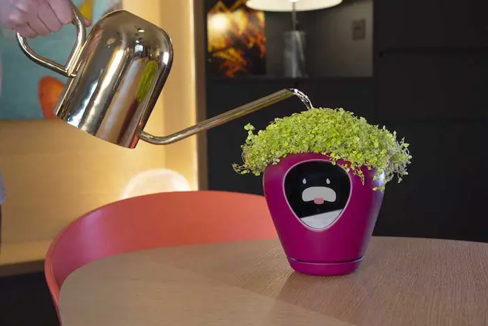 lua smart planter thirsty animation