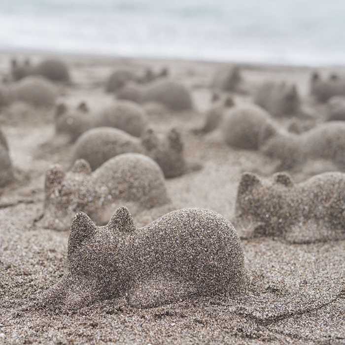 neko cup seashore filled with cleepy cat sculptures