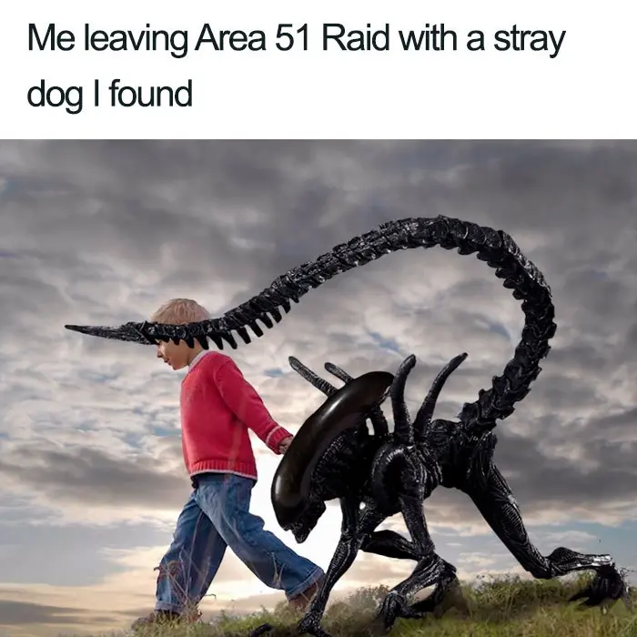 stray dog from area 51 memes