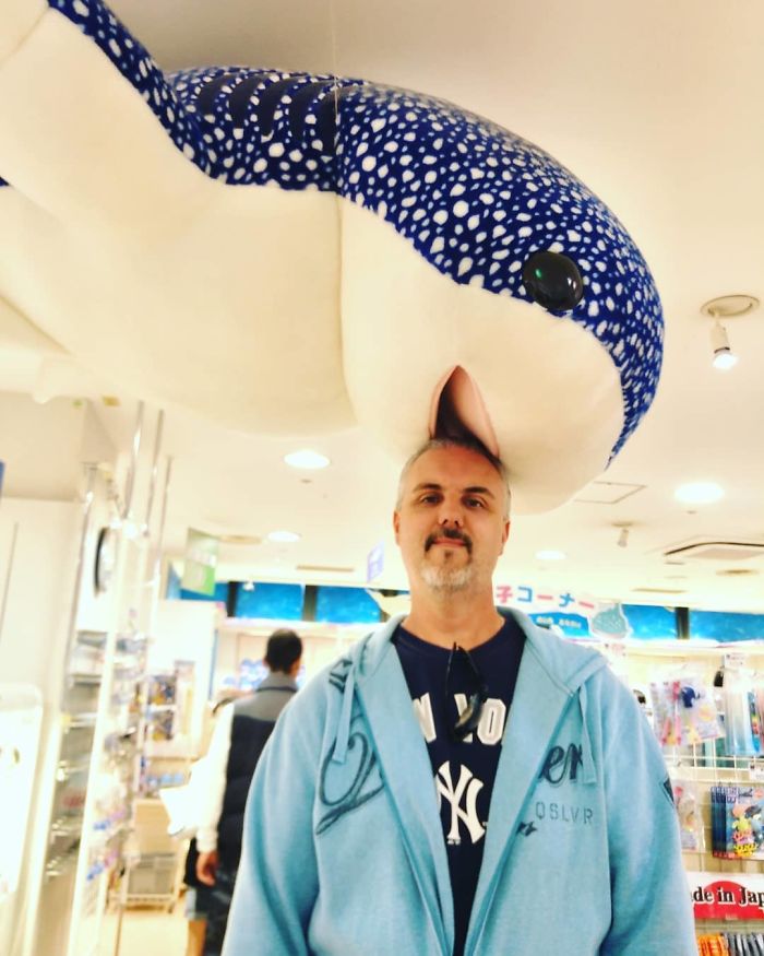 tall people problems japan shark bait