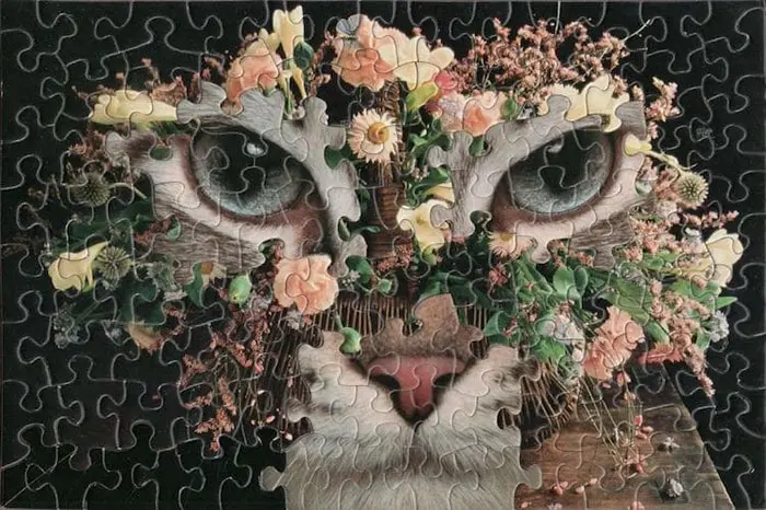 tim klein montage puzzle art daisy bindi