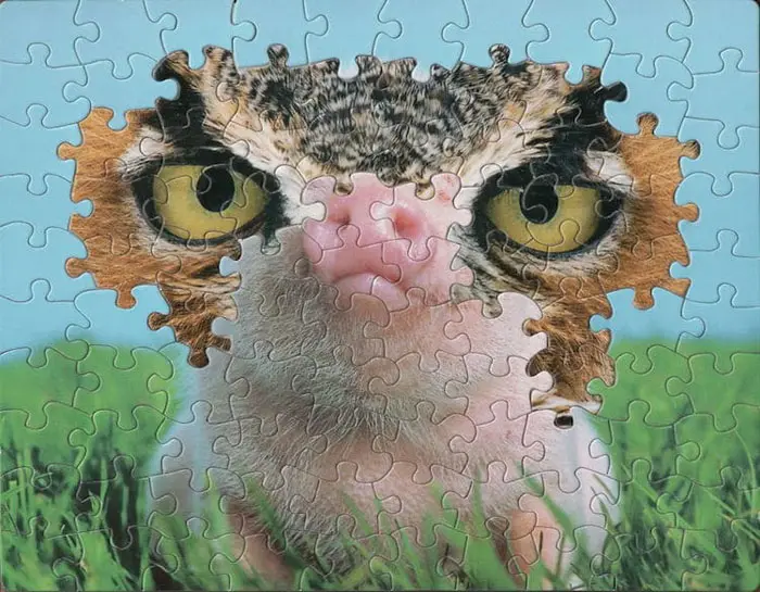 tim klein montage puzzle art pig jaw suzzle 2