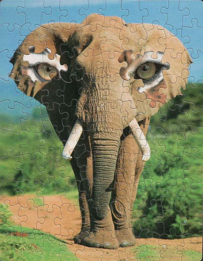 tim klein montage puzzle art the all seeing elephant