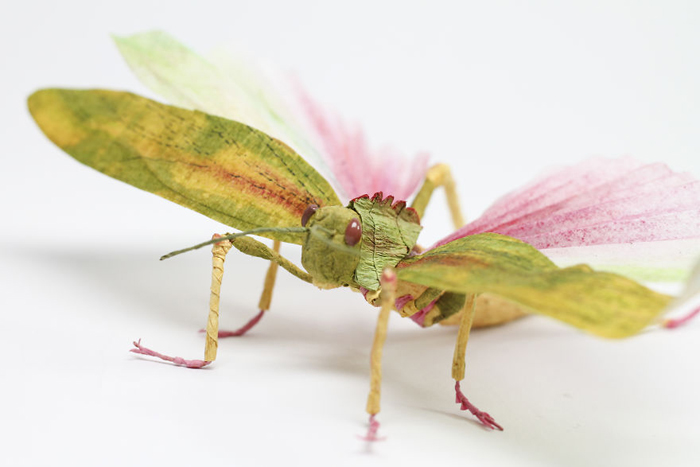 tina kraus crepe paper objects giant grasshopper