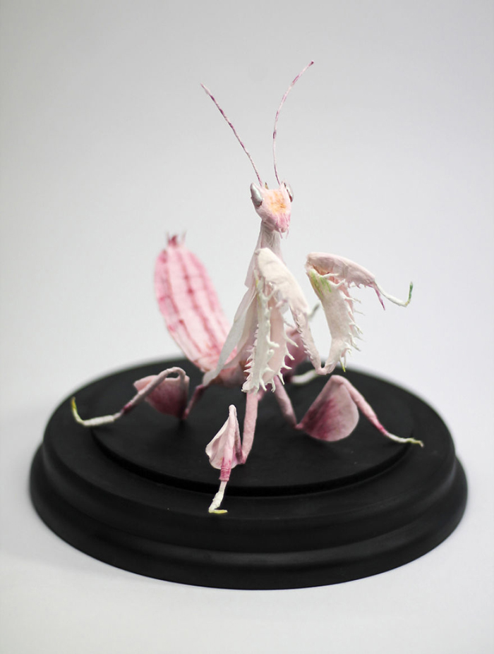 tina kraus crepe paper objects orchid mantis close up