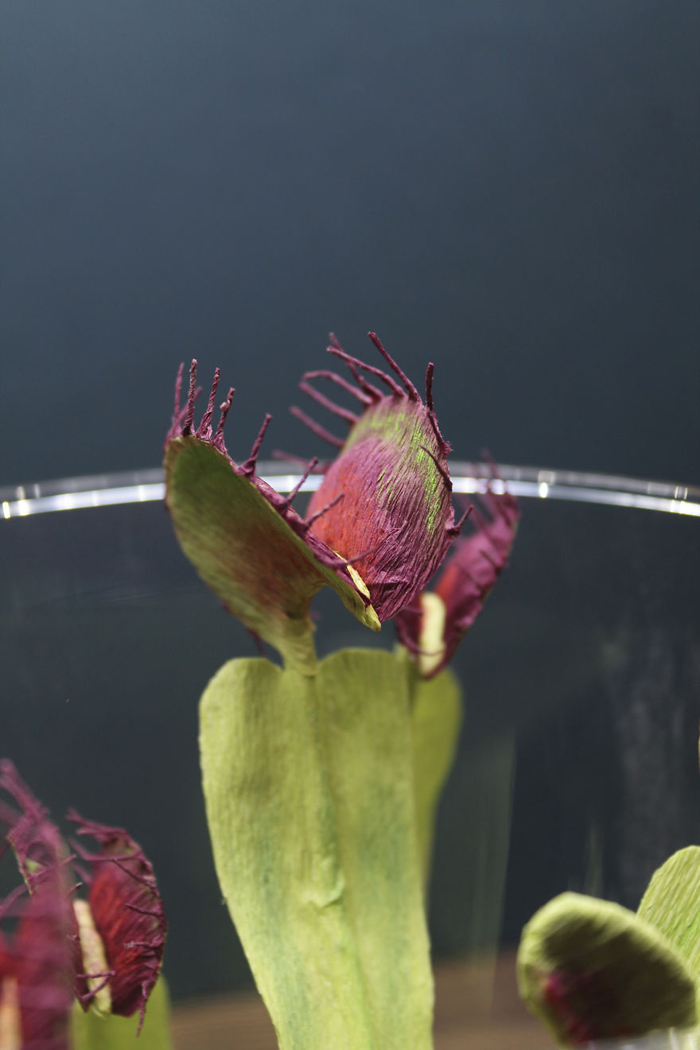 tina kraus crepe paper objects venus flytrap detail