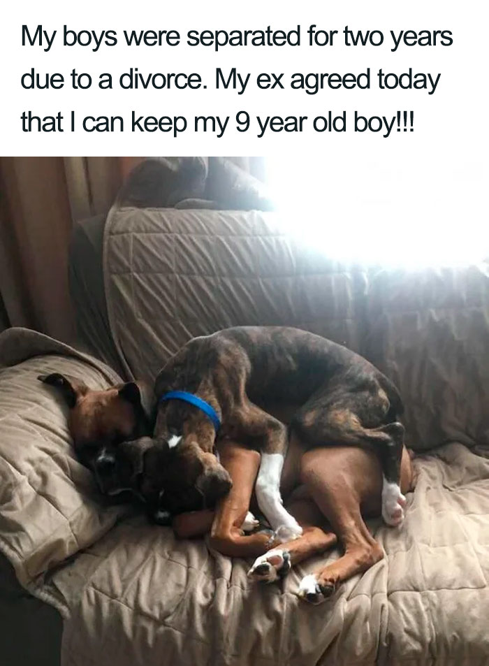 wholesome dog posts reunited after two years