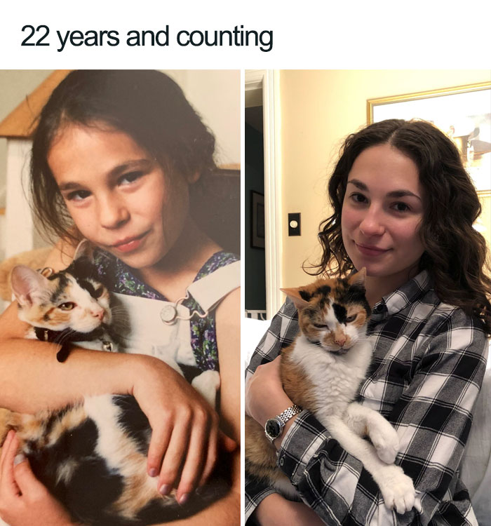 22 years and counting with cat wholesome cat posts