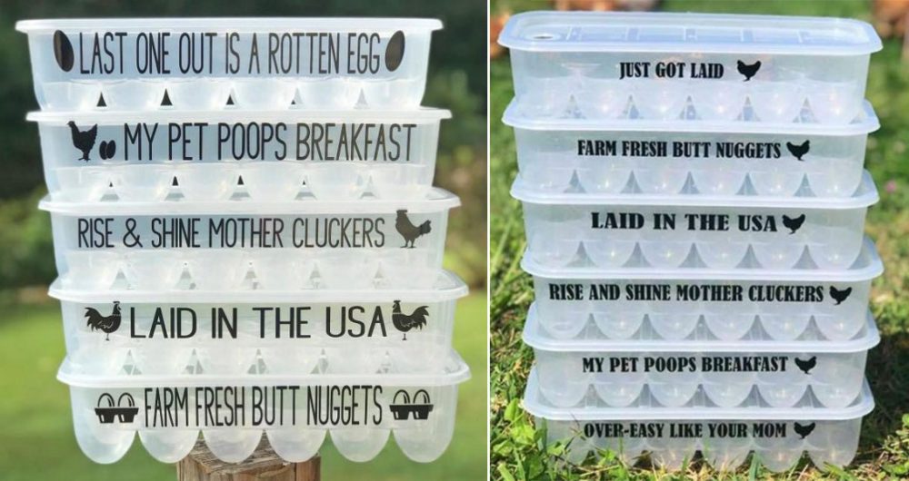 Funny Plastic Egg Containers