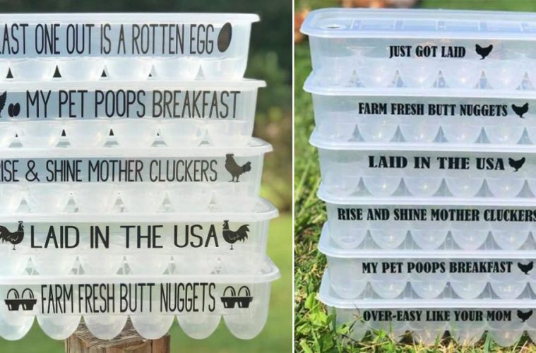 Funny Plastic Egg Containers