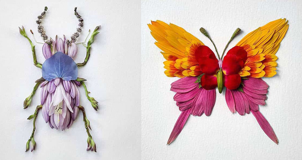 Insects From Freshly Cut Flowers